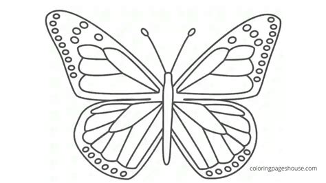 Swallowtail Butterfly Coloring Book Pages