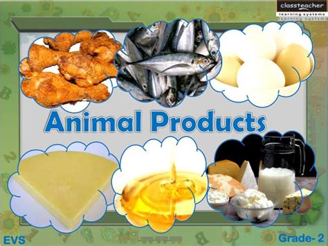 Ppt Animal Products Powerpoint Presentation Free Download Id2425290