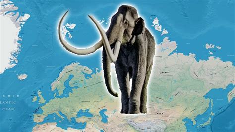 Largest Mammoth That Ever Lived The Steppe Mammoth Youtube