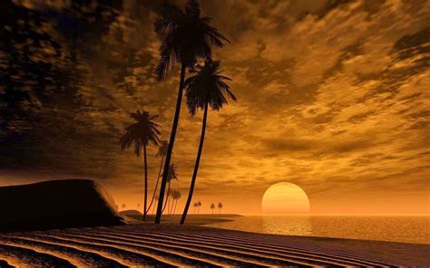 Cool Night Nature Backgrounds