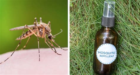 Give all the ingredients a good mix until homemade mosquito repellents are a great way to make time in the yard fun again. Keep Mosquitoes Out Of Your Yard With This DIY Spray - 12 Tomatoes