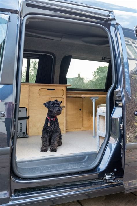 Dog Friendly Campervans Travelling With Our Pups Love Campers