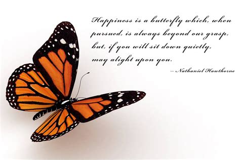 Grief Quotes With Butterflies Quotesgram