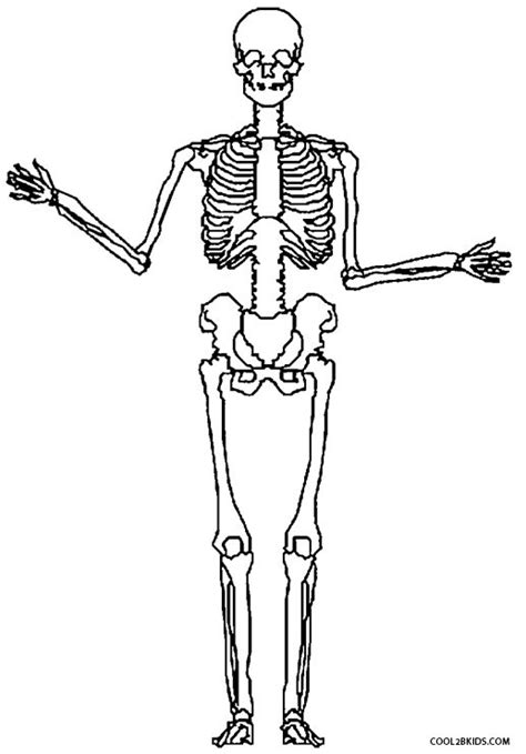 Human Skeleton Coloring Page