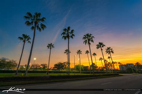 Palm Tree Sunset Road Gardens Parkway Florida Hdr Photography By