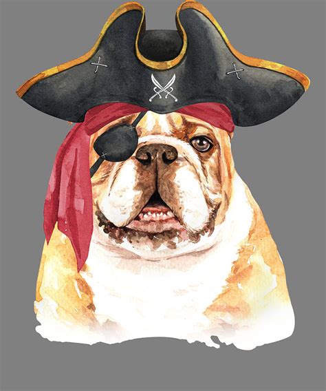 Bulldog Watercolor Bulldog Pirate Illustration Digital Art By Stacy