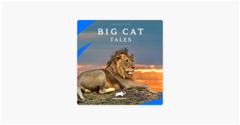 ‎big Cat Tales Season 2 On Itunes