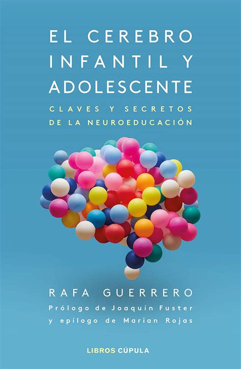 El Cerebro Infantil Y Adolescente Librería De Cero A Diez