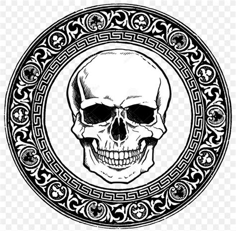 Skull Vector Graphics Drawing Image Illustration Png 1102x1080px
