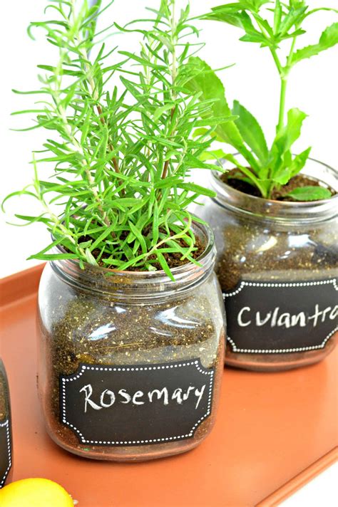 How To Make A Simple Indoor Herb Garden