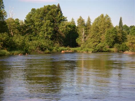 Fly Fishing The Upper Manistee River Current Works Guide Service