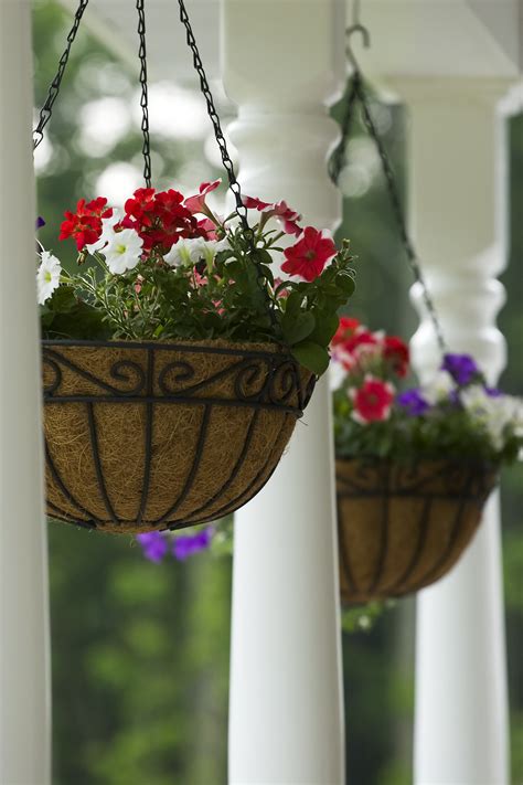Secrets to Successful Hanging Baskets and Planters - Cache Valley 