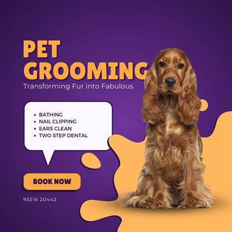 Pamper Your Furry Friend With Expert Pet Grooming 1 Flickr
