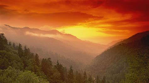 , tennessee vols background wallpaper hd tennessee vols 501×891. Tennessee Vols Wallpapers - Wallpaper Cave