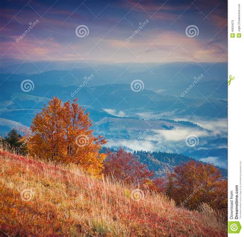 Colorful Autumn Sunrise In The Mountains Stock Image Image Of Nature
