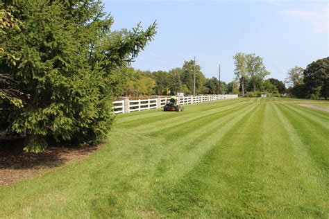 Lawn Care Brownstown Charter Township Mi Lawn Care Dos And Donts For