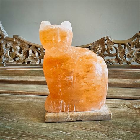 The reason why salt lamps pose such a risk to cats — and to dogs as well — is that salt is toxic to both animals. Luvin Life-Cat Shaped Himalayan Salt Lamp