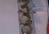 Termite Trails On Walls