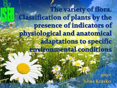 The Variety Of Flora Classification Of Plants