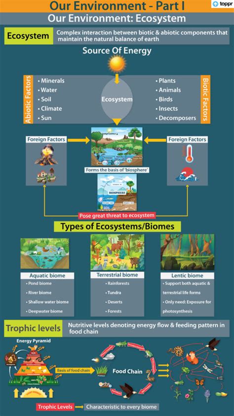 Biome Definition Biology