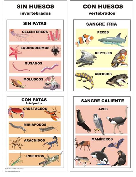 Clasificación De Animales Curriculum Nacional Mineduc Chile