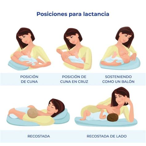 ¿cuáles Son Las Mejores Posiciones Para Amamantar A Mi Bebé Mibbmemima ️