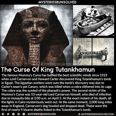 The Curse Of Pharaoh Tutankhamun In 2021 True Interesting Facts