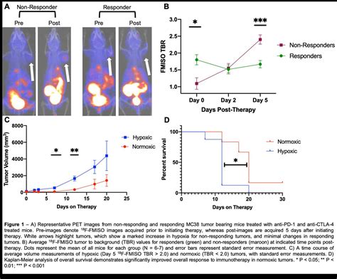 18f Fmiso Pet Imaging Of Tumor Hypoxia To Predict And Monitor