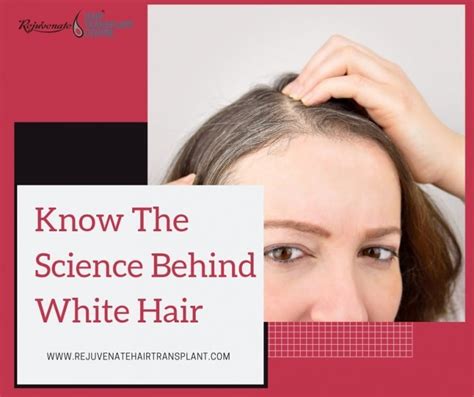 Know The Science Behind White Hair Rejuvenate Hair Transplant
