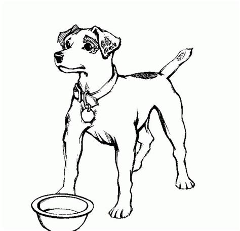 Free Realistic Dog Coloring Pages Download Free Realistic Dog Coloring