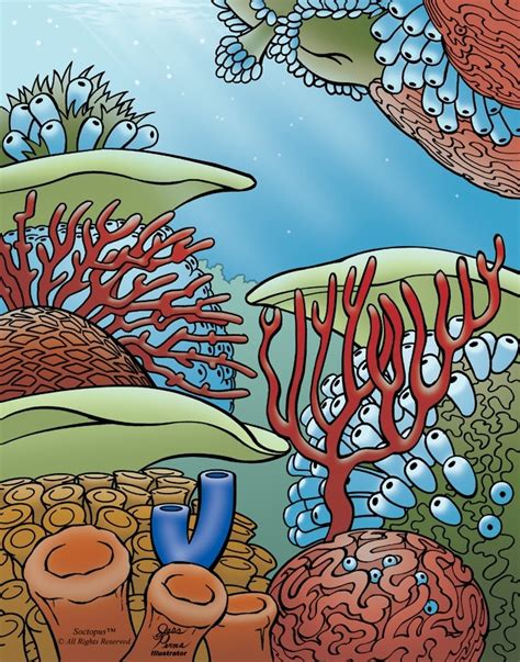 Coral Reef Drawing At Getdrawings Free Download