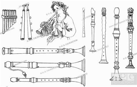 Historical Drawing Various Forms Of Old Woodwind Instruments Double