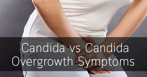 Candida Vs Candida Overgrowth Symptoms Giving Is Healing