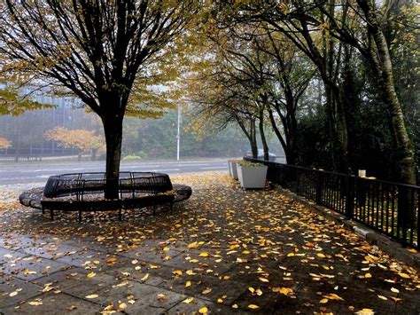 Fallen Leaves Memorial Place Omagh © Kenneth Allen Cc By Sa20