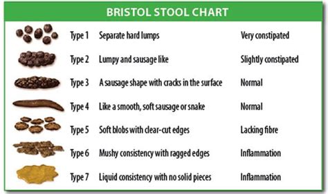 Is Your Poo Healthy Bristol Stool Chart Reveals What Is Should Look