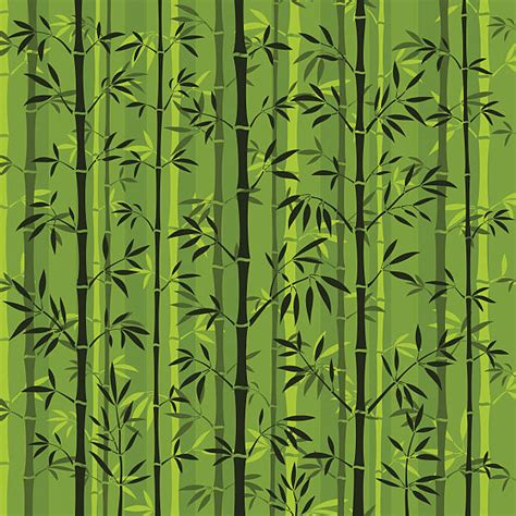 670 Forêt De Bambous Stock Illustrations Graphiques Vectoriels Libre