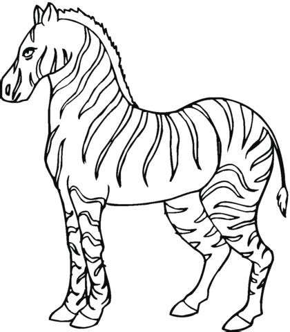 Note that no two zebras have the same pattern of stripes on their coats. Zebra coloring page | Free Printable Coloring Pages