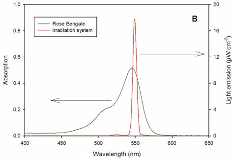 Emission Spectrum Reaching The Solution 1000 W Xenon Lamp Equipped