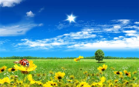 Come away, o human child: HD Wallpapers (High Definition) | 100% Quality HD Desktop ...
