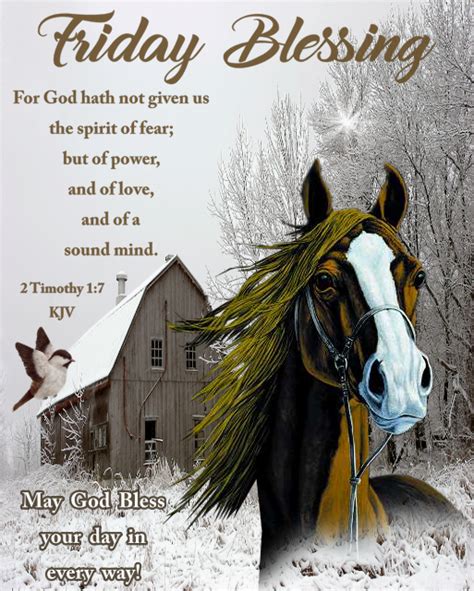 Horse In Barn Friday Blessing Pictures Photos And Images For