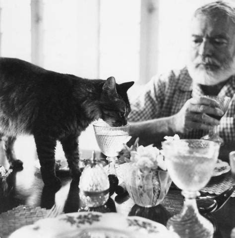 Outside right under their window a cat was crouched under one of the dripping green tables. EH8505P Ernest Hemingway at table with his cat Cristobal ...
