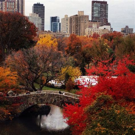 Central Park In November Country Roads Favorite Places Central Park