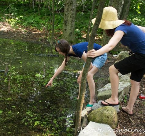 It involves traveling to each of the qu's marsh locations throughout gaia with quina. Wordless Wednesday-Frog Catching- Upstate Ramblings