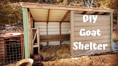 Diy Goat Shelter Made From Recycled Materials Kiko Goats Youtube