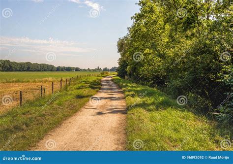 Winding Dirt Road Between Trees And Grassland With A Fence Made Stock