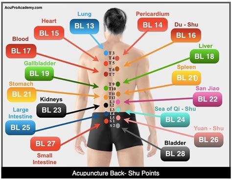 Pin On Pressure Points