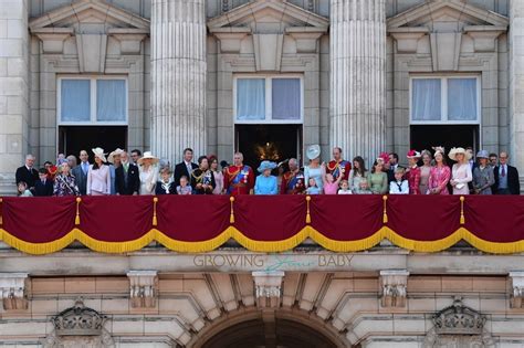 Последние твиты от trooping the colour (@trooping). Royal family gathers at Buckingham Palace for the Trooping ...