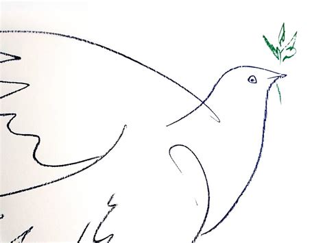 After Pablo Picasso Peace Dove Lithograph 1961 For Sale At Pamono