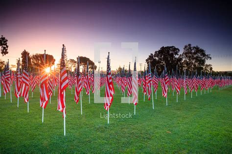 May 14, 2019 · the cost of applying for guard card courses varies on the method of application. Rows of american flags — Photo — Lightstock