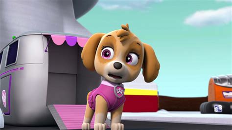 Watch PAW Patrol Season Episode Pups And The Big Freeze Full Show On Paramount Plus